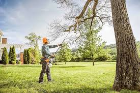 Best Tree Health Inspection  in Lanster, CA